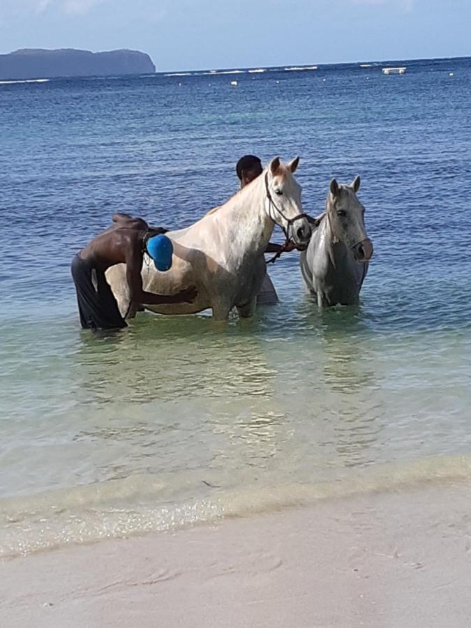 La Hacienda Guest House Las Galeras Εξωτερικό φωτογραφία