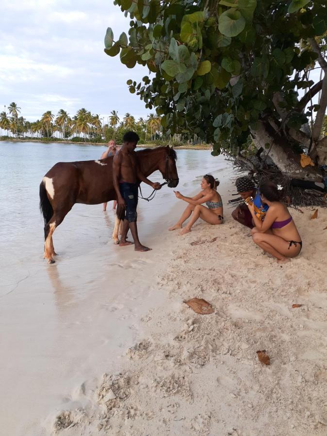 La Hacienda Guest House Las Galeras Εξωτερικό φωτογραφία