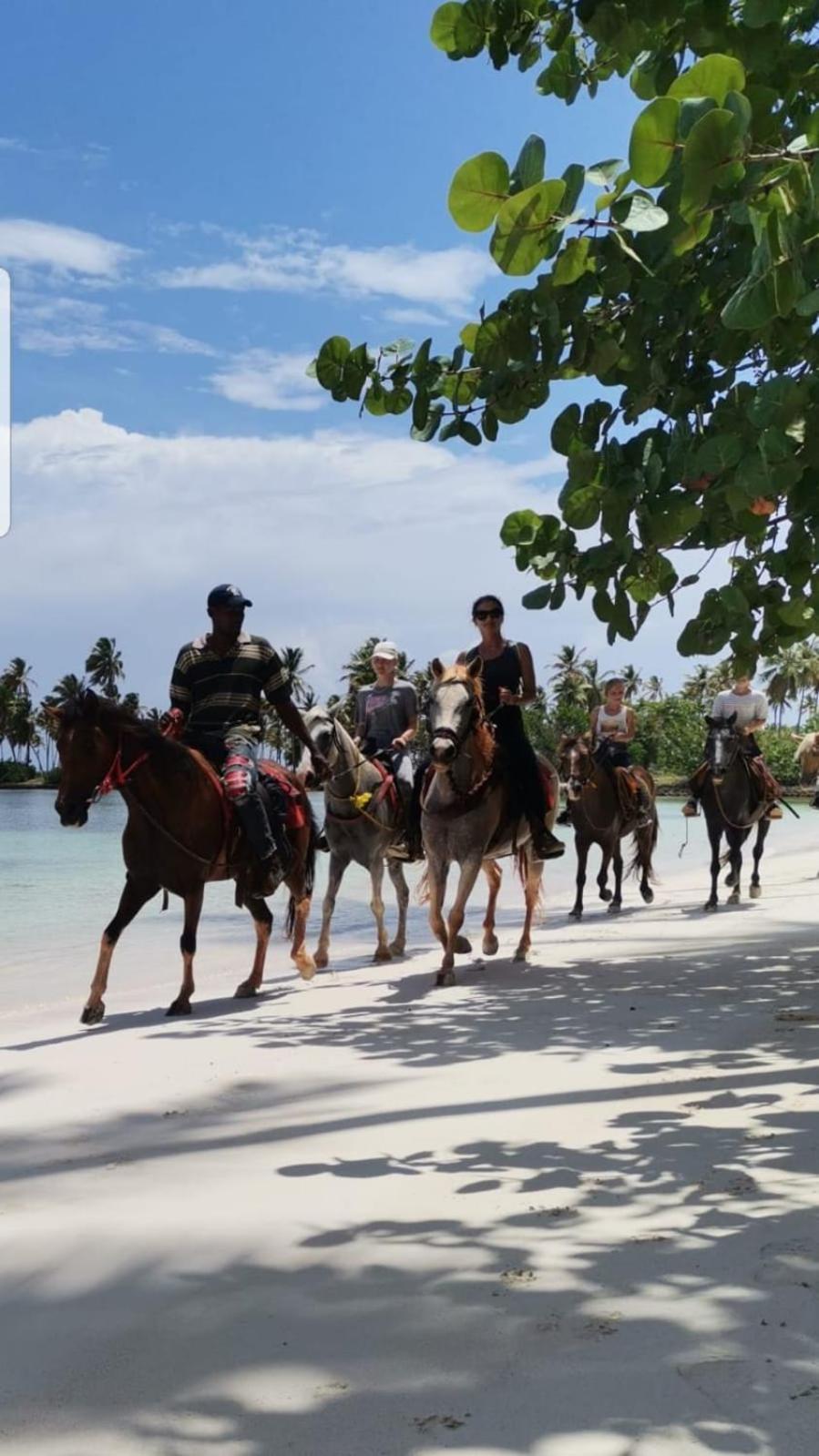 La Hacienda Guest House Las Galeras Εξωτερικό φωτογραφία