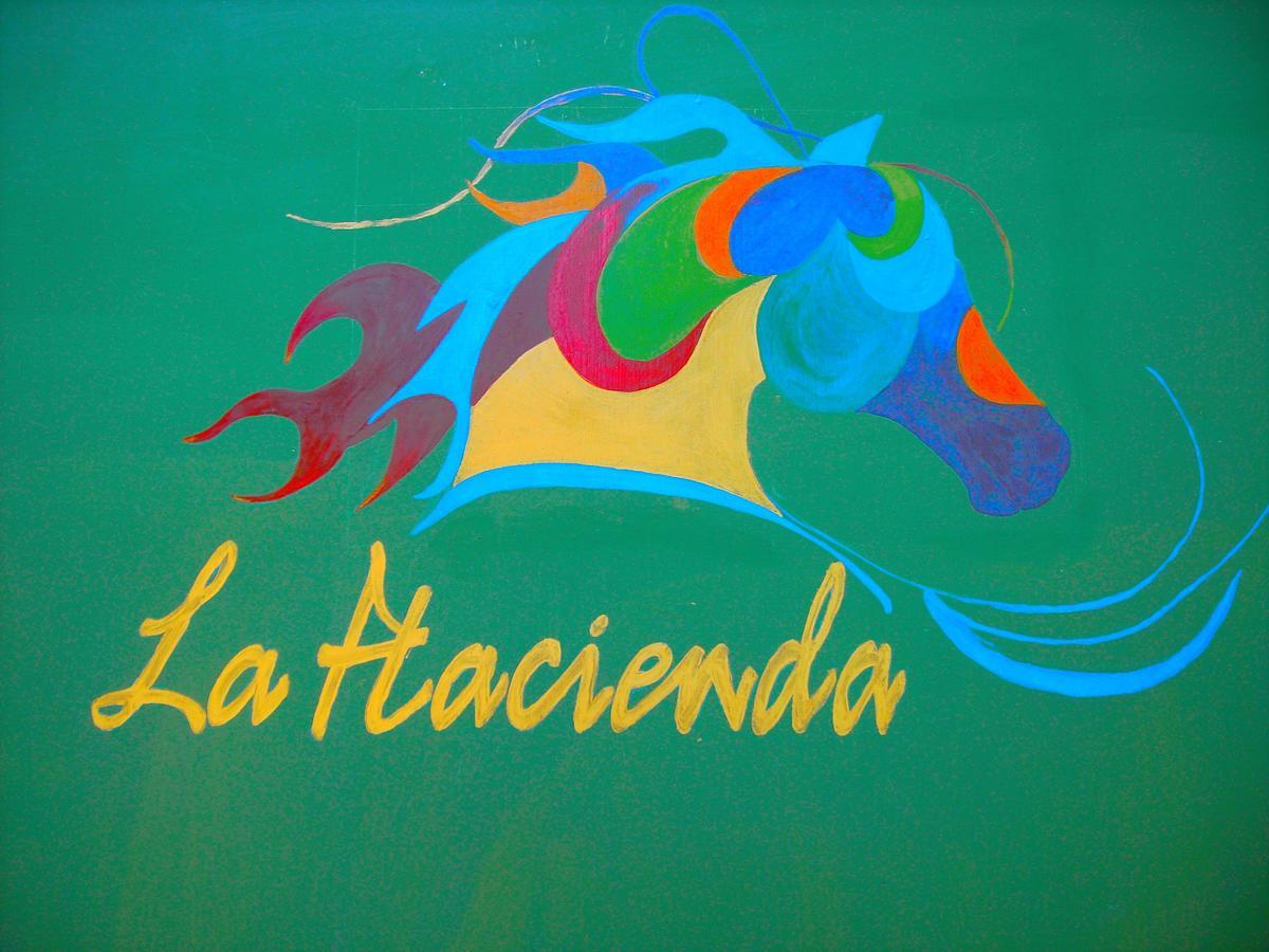 La Hacienda Guest House Las Galeras Εξωτερικό φωτογραφία